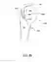 Fig. 12 - SUTURE-RETAINING DEVICE AND ANCHOR