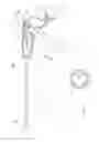 Fig. 04 - Suture cutter