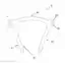 Fig. 01 - Staples for generating and applying compression within a body