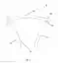 Fig. 02 - Staples for generating and applying compression within a body