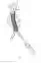 Fig. 08 - Endovascular aneurysm repair system