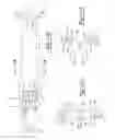Fig. 15 - Combination medical device