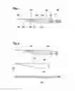 Fig. 02 - Blade for a cutting instrument, scalpel holder for a blade, and method for producing a blade