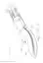Fig. 11 - Surgical stapling device having supports for a flexible drive mechanism