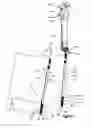 Fig. 13 - Minimally invasive spinal fixation system including vertebral alignment features