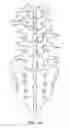 Fig. 02 - SURGICAL TETHER APPARATUS AND METHODS OF USE