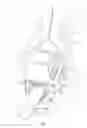 Fig. 08 - Surgical instrument for manipulating, positioning and fixing a surgical rod in relation to an implant