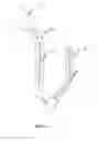 Fig. 06 - ENDO-NAVIGATION SYSTEMS AND METHODS FOR SURGICAL PROCEDURES AND CPR