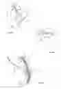 Fig. 22 - Dental flossing device