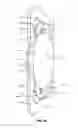Fig. 22 - Intraocular lens assembly