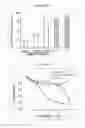 Fig. 14 - Production of tissue engineered heart valves