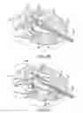 Fig. 15 - Mitral bileaflet valve