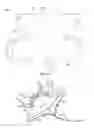 Fig. 13 - Collapsible prosthetic heart valves