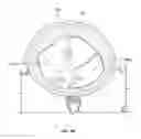 Fig. 55 - Collapsible prosthetic heart valves