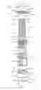 Fig. 09 - Expandable vertebral implant