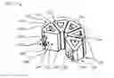 Fig. 01 - Shape-memory spinal fusion system
