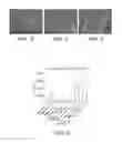 Fig. 03 - BIOABSORBABLE MEDICAL DEVICE WITH COATING