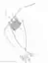 Fig. 01 - Ice Pack Holder