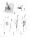 Fig. 22 - Adhesive support devices and methods of making and using them