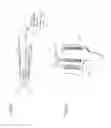 Fig. 43 - Adhesive support devices and methods of making and using them