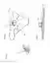 Fig. 44 - Adhesive support devices and methods of making and using them