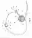 Fig. 27 - EXTREMITY SURGICAL SUPPORT DEBRIDEMENT PLATFORM