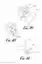 Fig. 17 - Toy with multi-connector for different styles of soothing devices
