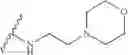 Fig. 50 - Biodegradable intravitreal tyrosine kinase implants