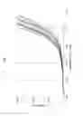 Fig. 09 - Tamper-resistant tablet providing immediate drug release