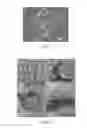 Fig. 04 - MAGNETIC NANO CORE-SHELL CAPSULE AND APPLICATION THEREOF