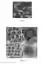 Fig. 05 - MAGNETIC NANO CORE-SHELL CAPSULE AND APPLICATION THEREOF
