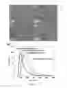Fig. 08 - MAGNETIC NANO CORE-SHELL CAPSULE AND APPLICATION THEREOF