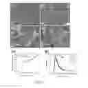 Fig. 10 - MAGNETIC NANO CORE-SHELL CAPSULE AND APPLICATION THEREOF