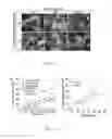 Fig. 12 - MAGNETIC NANO CORE-SHELL CAPSULE AND APPLICATION THEREOF