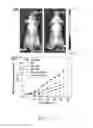 Fig. 13 - MAGNETIC NANO CORE-SHELL CAPSULE AND APPLICATION THEREOF