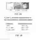 Fig. 03 - Nanoparticle and polymer formulations for thyroid hormone analogs, antagonists, and formulations and uses thereof