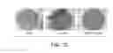 Fig. 14 - Nanoparticle and polymer formulations for thyroid hormone analogs, antagonists, and formulations and uses thereof