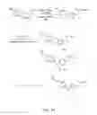 Fig. 33 - Nanoparticle and polymer formulations for thyroid hormone analogs, antagonists, and formulations and uses thereof