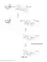 Fig. 38 - Nanoparticle and polymer formulations for thyroid hormone analogs, antagonists, and formulations and uses thereof