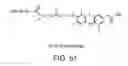Fig. 57 - Nanoparticle and polymer formulations for thyroid hormone analogs, antagonists, and formulations and uses thereof