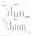 Fig. 04 - COMPOSITIONS CONTAINING MONOACETYLDIACYLGLYCEROL COMPOUND AS AN ACTIVE INGREDIENT FOR PREVENTING OR TREATING RHEUMATOID ARTHRITIS