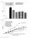 Fig. 05 - COMPOSITIONS CONTAINING MONOACETYLDIACYLGLYCEROL COMPOUND AS AN ACTIVE INGREDIENT FOR PREVENTING OR TREATING RHEUMATOID ARTHRITIS