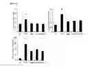Fig. 04 - Composition containing monoacetyldiacylglycerol compound as active ingredient for preventing or treating asthma