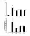 Fig. 05 - Composition containing monoacetyldiacylglycerol compound as active ingredient for preventing or treating asthma