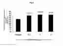 Fig. 04 - Calebin A for hepatic steatosis