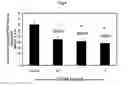 Fig. 05 - Calebin A for hepatic steatosis