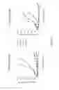 Fig. 05 - Cyclic nitro compounds, pharmaceutical compositions thereof and uses thereof
