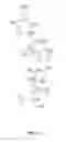 Fig. 22 - Cognition enhancing compounds and compositions, methods of making, and methods of treating