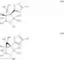 Fig. 27 - Cognition enhancing compounds and compositions, methods of making, and methods of treating