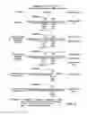 Fig. 03 - METHODS FOR THE PRODUCTION OF FUNCTIONAL PROTEIN FROM DNA HAVING A NONSENSE MUTATION AND THE TREATMENT OF DISORDERS ASSOCIATED THEREWITH